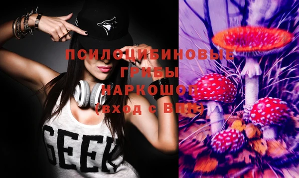 скорость Белокуриха