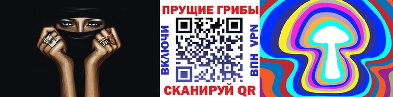 Псилоцибиновые грибы Psilocybe  Сковородино 